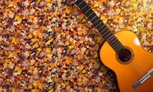 Portada- Show Otoño 2023